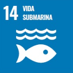 Vida Submarina